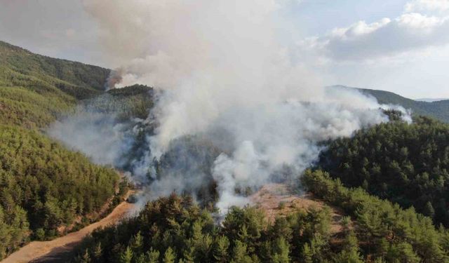 Kastamonu-Karabük sınırında ikinci orman yangını: Havadan ve karadan müdahale ediliyor