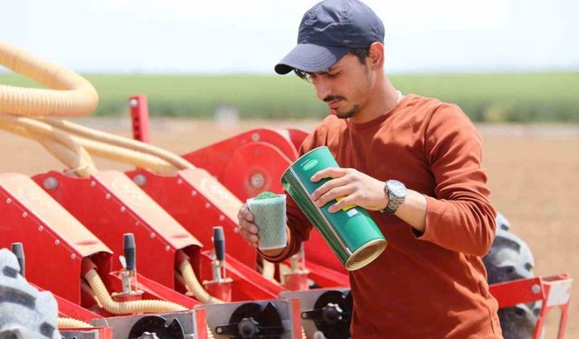 ‘Kiralık tarla’ uygulaması başladı, uzmanlardan uyarı geldi