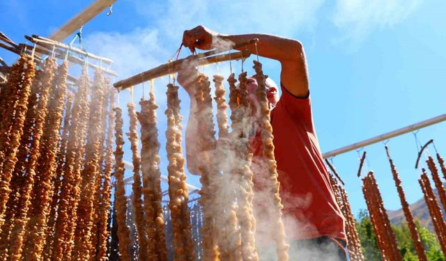 Kış sofralarının vazgeçilmezi: Orcik mesaisi başladı