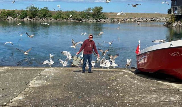 Martılarla kurduğu bağ görenleri şaşırtıyor
