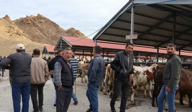 Oltu canlı hayvan pazarı şap hastalığı sonrası eski canlılığına kavuştu