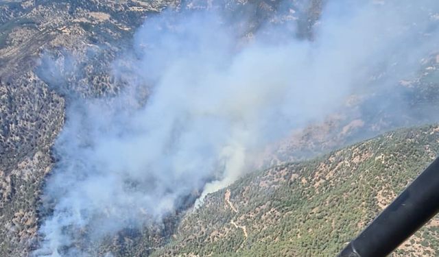 Ot temizlemek isterken ormanı yakan 3 şüpheli gözaltına alındı