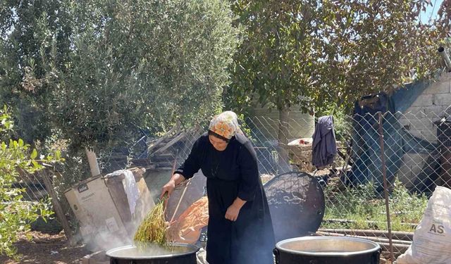 Şanlıurfa’da üzümün pekmez yolculuğu başladı