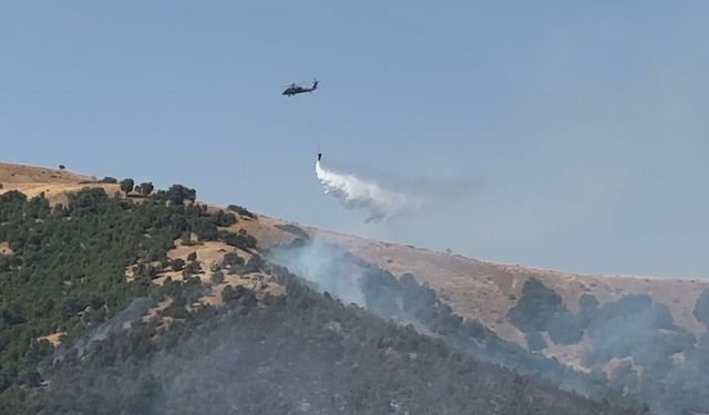 Şemdinli’deki yangına havadan müdahale devam ediyor