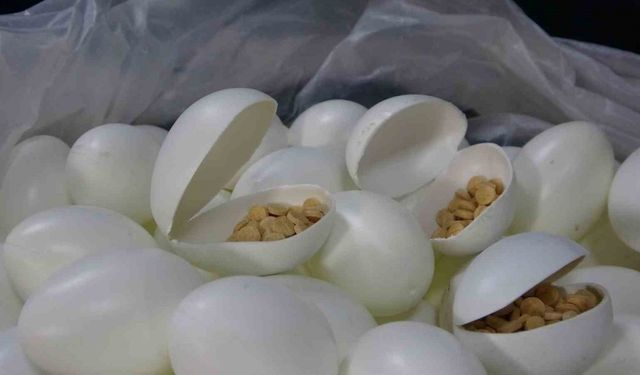 Sürpriz yumurtalardan bile uyuşturucu çıkmıştı: 8 şüpheli adliyeye sevk edildi