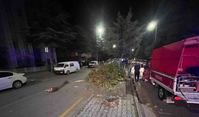 Takla atan otomobilden çıkartılan sürücünün ilk sözü: "Abi bir sigara verin de içelim"