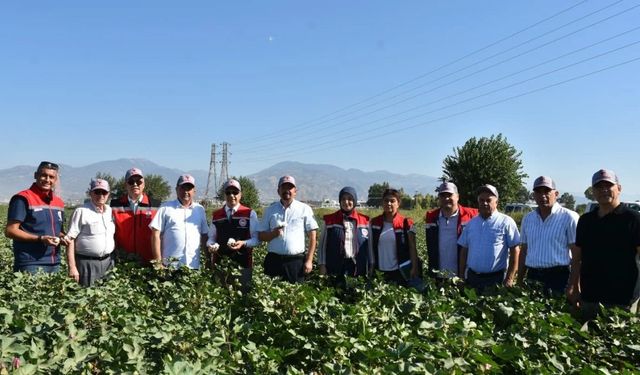 Tarım İl Müdürü Temiz: "Pamuk Aydın için stratejik bir ürün"