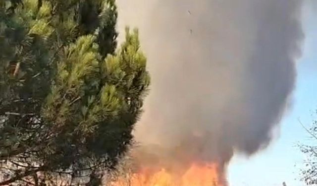 Tekirdağ’da korkutan yangın