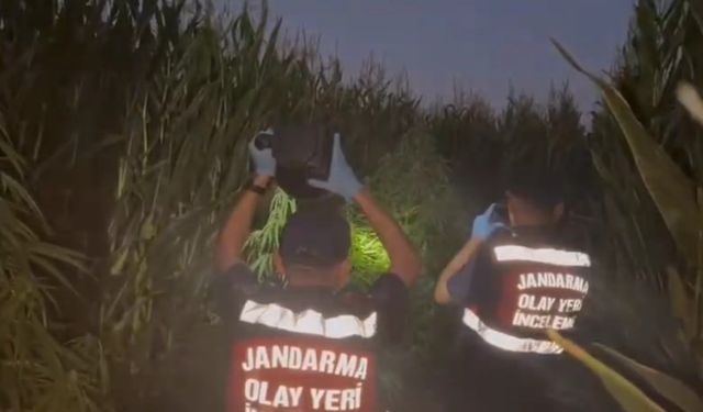 Tokat’ta jandarmadan uyuşturucuya geçit yok