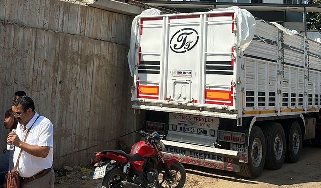 Üzüm yüklemeye geldi, yaşamını yitirdi