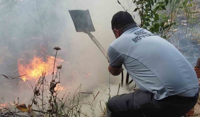 Yangını söndürmek içi devlet-millet seferber oldu