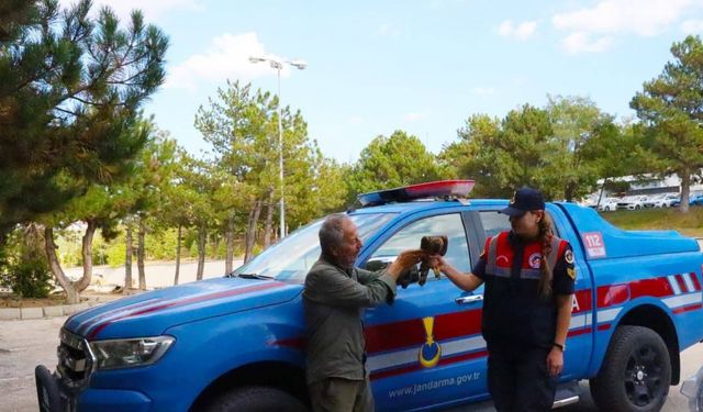 Yaralı Çakır kuşuna Jandarma ekiplerinin şefkatli eli uzandı