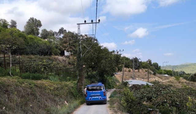 Yeni nişanlı çifti ölüm ayırdı: Önce elektrik çarptı, sonra trafik kazası geçirdiler