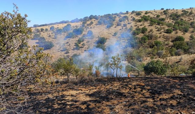 Yozgat’ta makilik alanda çıkan yangın 15 dönüm alanda etkili oldu