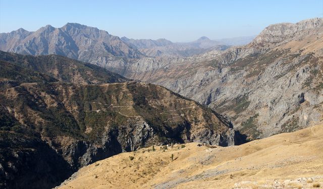 Ailesiyle yalnız yaşadığı köyde yılda 2,5 ton bal üretiyor