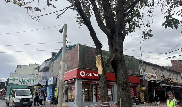 Bursa'da kuvvetli lodos etkili oluyor