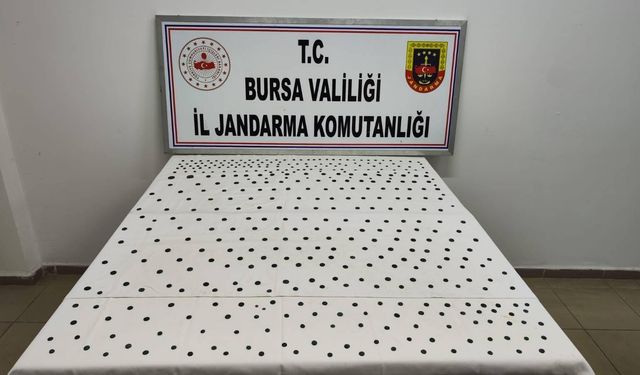 Bursa'da tarihi eser niteliğinde 437 sikke ele geçirildi