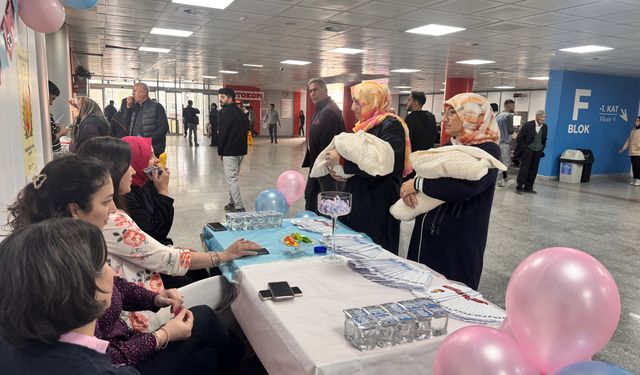 Erzurum'da sağlıkçılar kadınlara emzirme ve anne sütünün önemini anlattı