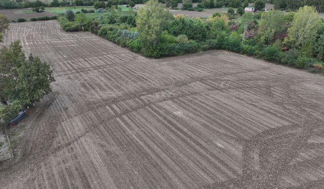 Geçen yıl kuru toprağa ekim yapan Trakya çiftçisi son yağışlarla moral buldu