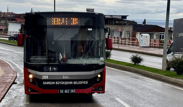 Samsun'da kamyonet ile çarpışan halk otobüsündeki 2 yolcu yaralandı