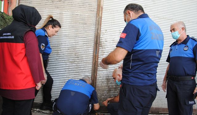 Şanlıurfa'da yaklaşık 1 ton bozulmuş et ele geçirildi