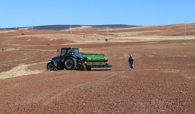 Sivas'ta yerli buğday ve arpa çeşitlerinde deneme ekimleri başladı