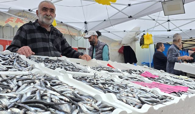 Zonguldak'ta balık tezgahlarında hamsi bolluğu yaşanıyor