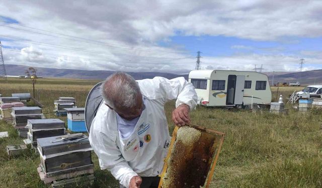 Arıcılar Birliği Başkanı Evliyaoğlu: "Arıcılıkta sonbahar bakımı ve kışlatma çok önemli"