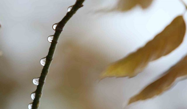 Bursa’da 2 günlük yağışlar ekim ayını kurtardı