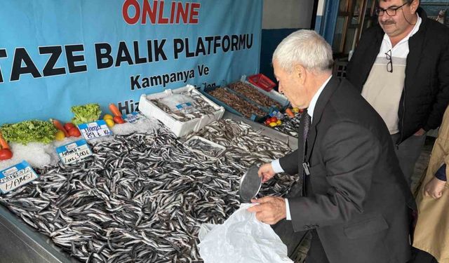 Denizlerde balık bolluğu: Hamsinin fiyatı 89 liraya düştü