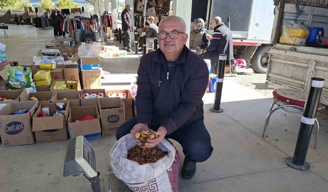 Elma kurusu, üreticisini sevindirdi