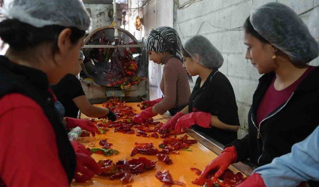 Gaziantep’te kadınların ’acı’ mesaisi