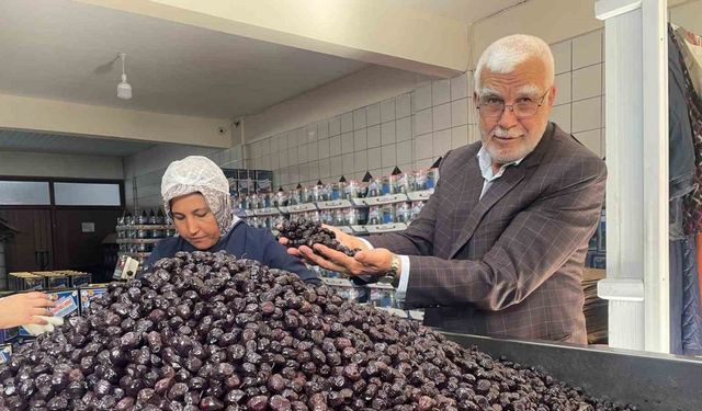Her 6 sofralık zeytinden birini Bursa ve Balıkesir üretecek