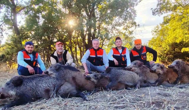 Hisarcıklı avcılar 6 saatte 7 yaban domuzu vurdu