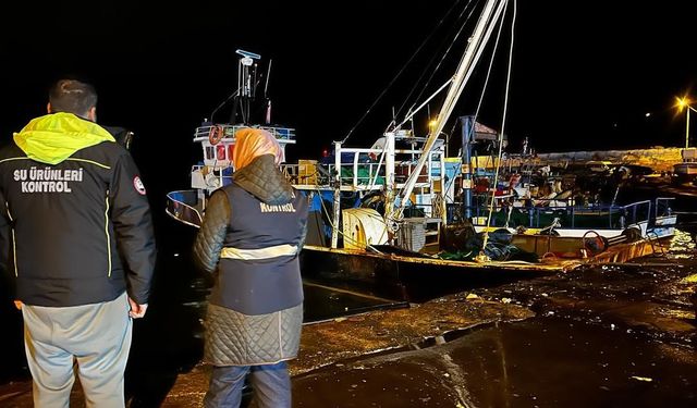 Karadeniz’de hamsi yoğunluğu devam ediyor