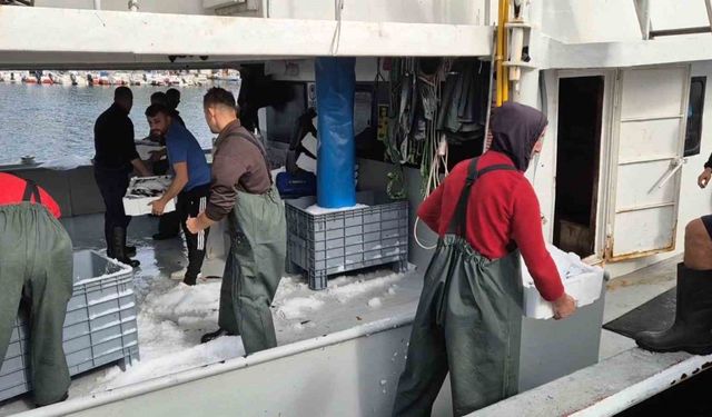 Kasa kasa balıkla döndüler:Tekirdağlı balıkçıların yüzü gülüyor