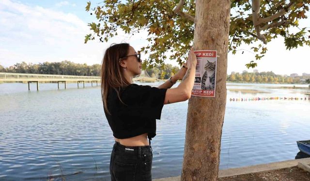 Kayıp kedisini bulana 100 bin lira ödül verecek