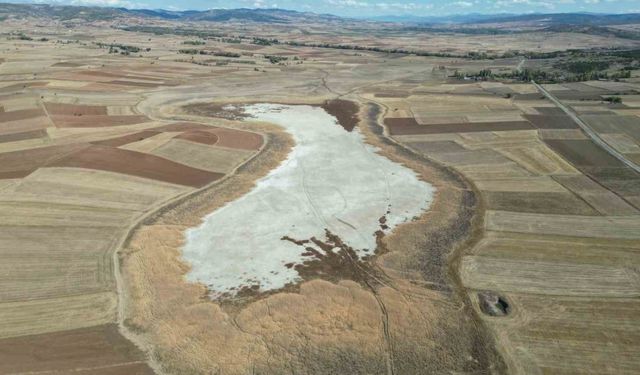 Kuşların dans ettiği Uylubağı göleti kuraklık nedeniyle çorak zemine dönüştü