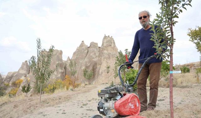 Peribacalarını ağaçlarla güzelleştiriyorlar