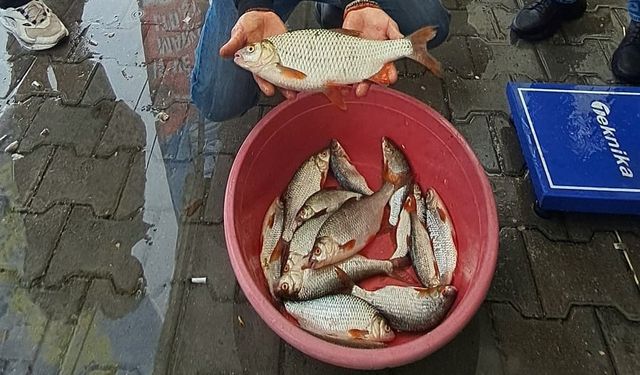 Sapanca Gölü’nde kızılkanat heyecanı: Amatör balıkçılar kıyasıya yarıştı