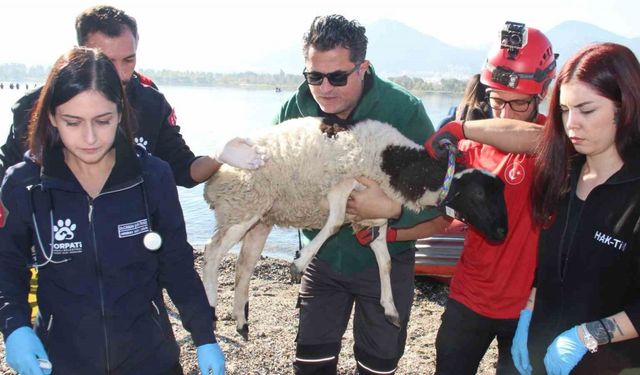 Sel felaketi riski taşıyan İzmir’de AFAD’dan tatbikat