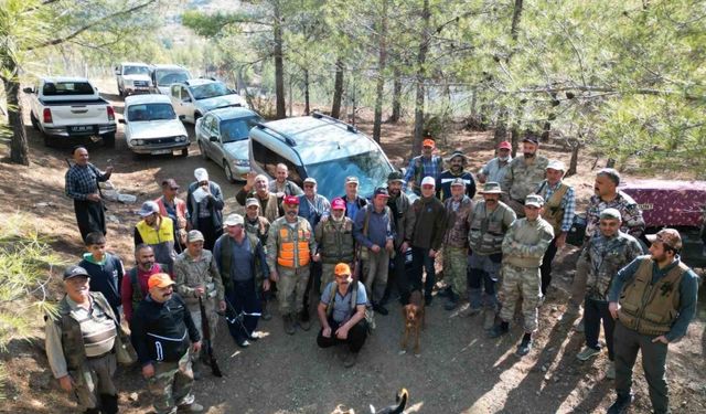 Tarım arazilerine zarar veren yaban domuzları için sürek avı