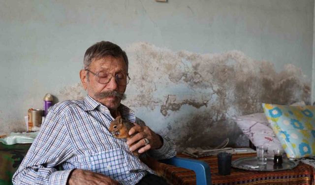 Yalnız kalmıştı, yavruyken kurtardığı ’sincap’ dostu oldu