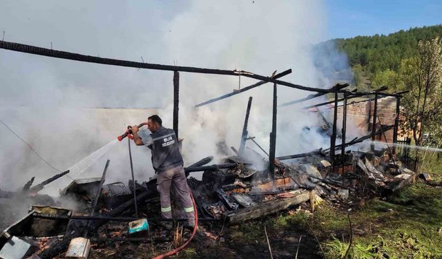 Yangında 36 kovan arı telef oldu