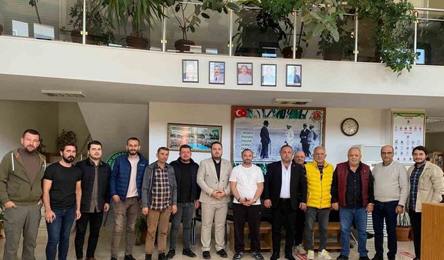 Zeytinin kilogram maliyeti açıklandı