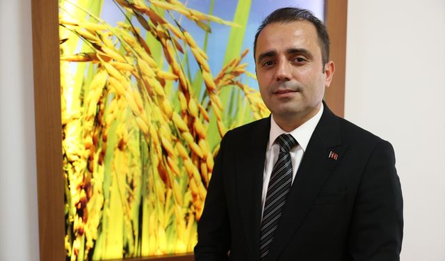 AB'den tam not alan İpsala pirinci dünya markası olma hedefiyle üretilecek