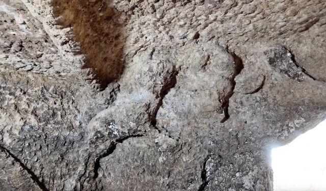 Adıyaman'daki Tharsa Antik Kenti'nde 1800 yıllık oda mezarı bulundu