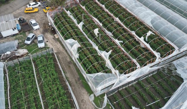 Antalya'da kuvvetli sağanak ve rüzgar hayatı olumsuz etkiliyor