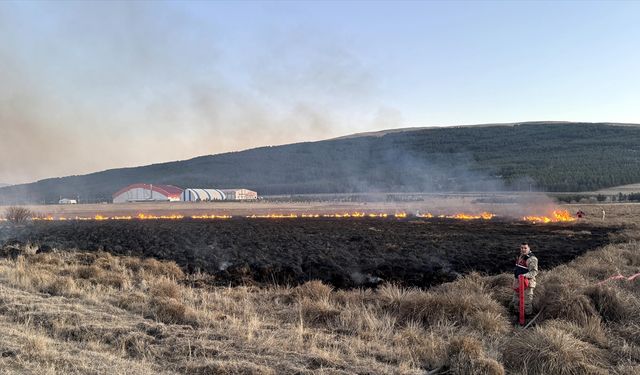 Ardahan'da Putka Gölü sazlığında çıkan yangın söndürüldü
