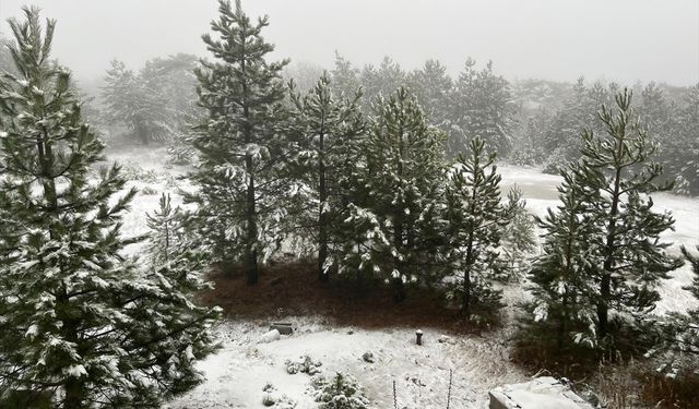 Balıkesir Sındırgı'da yüksek kesimlere kar yağdı